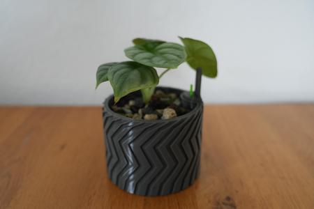 Self watering planter "the tire" 100mm