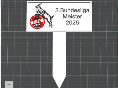 1. FC Cologne Champion Shield