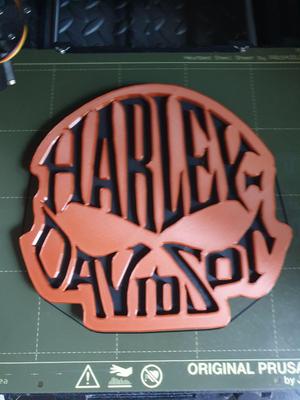 Harley Davidson Head