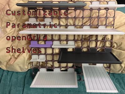 Customizable openGrid Shelves