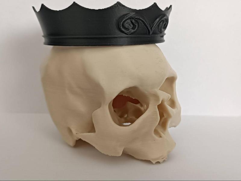 Skull with Crown
