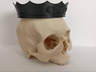 Skull with Crown