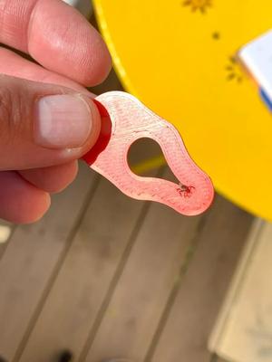 Tick Remover