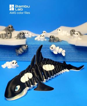 Killer Whale 