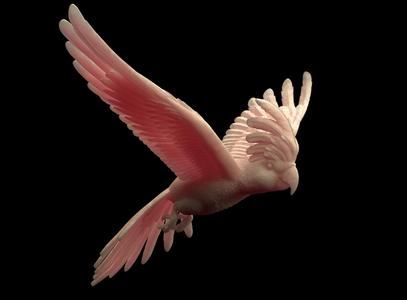 Parrot sculpture
