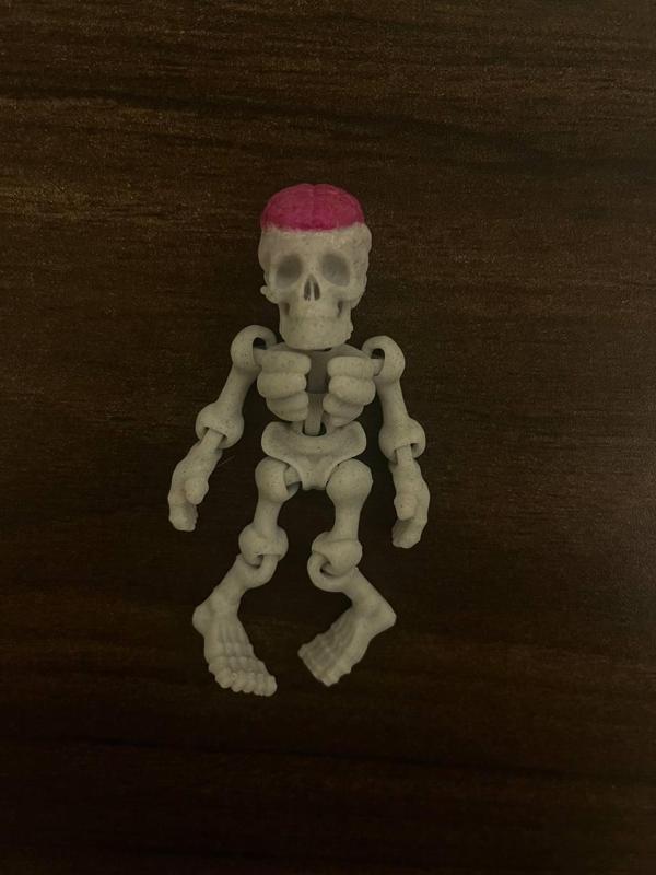 Flexi Skeleton