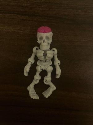 Flexi Skeleton