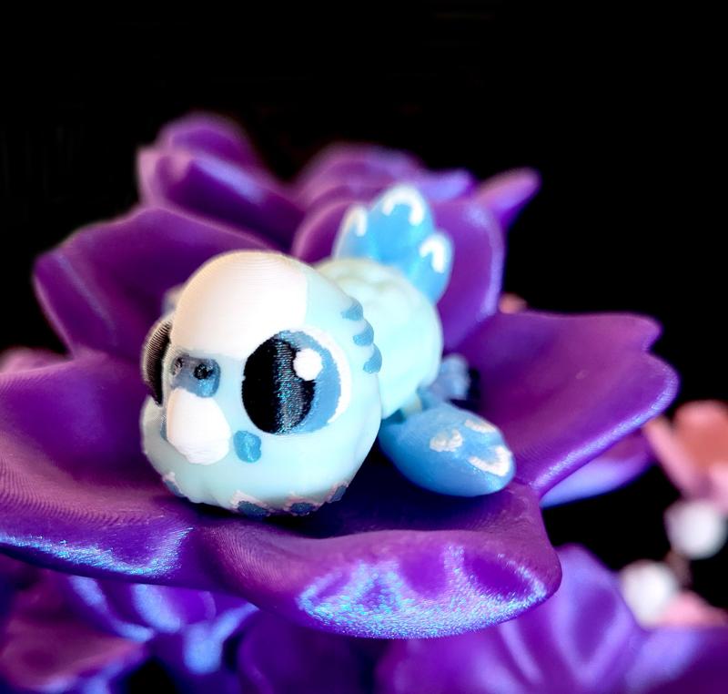 Sassie Hatchling Budgi