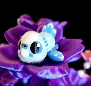 Sassie Hatchling Budgi
