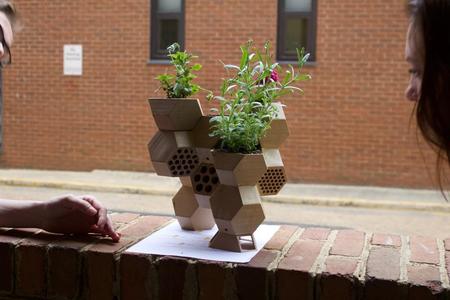 bee b&b: an escape for urban solitary bees
