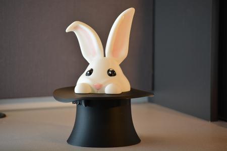 Bunny Hat - Single and Multi-material - For magicians