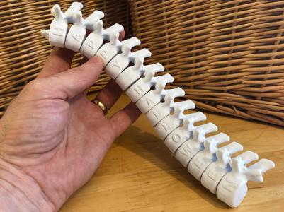 Happy Halloween Articulating Spine
