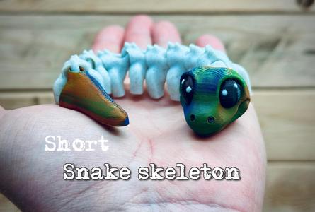 Snake Skeleton (short version)