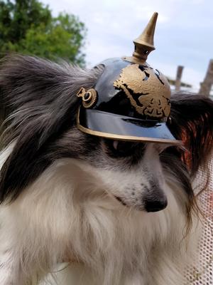 German Dog Spiked Helmet - Pickelhaube. Scale To Size. Costume, prop, cosplay, dog armor