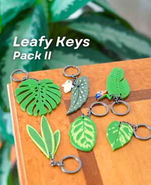 Leafy Keys Pack II - Houseplant Keychains - For Car Key Ring and House Keys