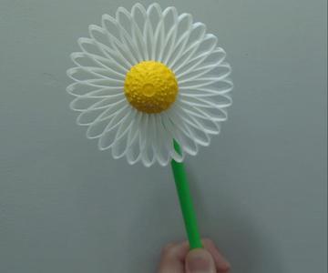 Daisy Pinwheel - Small