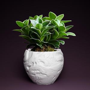 Plant pot with drainage 3D Printer STL file: instant download, plant lover gift