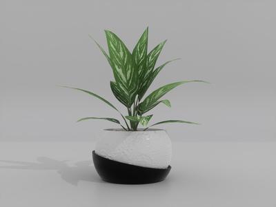 Moon-Shaped Planter with Drainage Saucer  3D Print