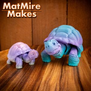Tortoise – Articulated Figure