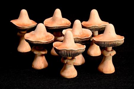 Ubiquitous Mushroom Set 3