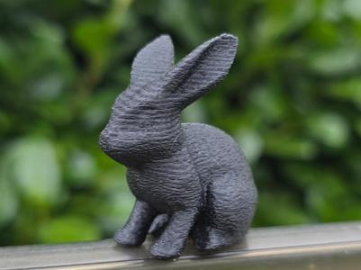 Mini Bunny