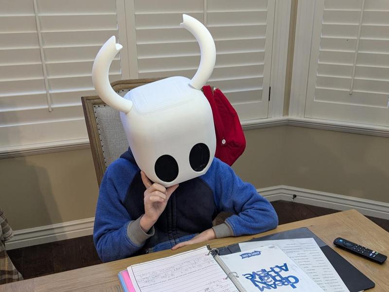 Hollow Knight Mask