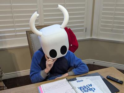 Hollow Knight Mask