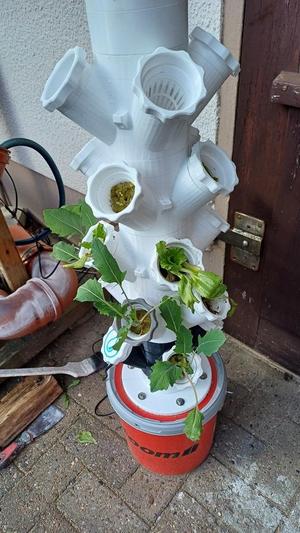 Lid adapter