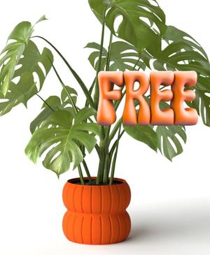 Bud Planter