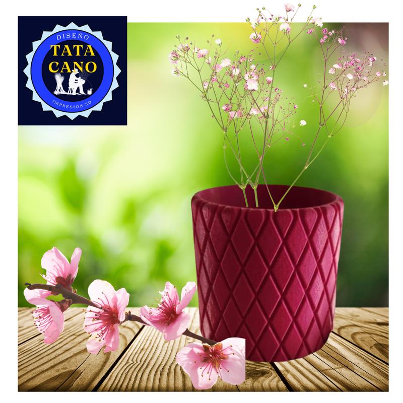 Maceta pequeña II (Little Planter II )