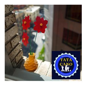 Florero (Flower Vase)