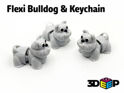 Flexi Bulldog & Keychain - No Supports