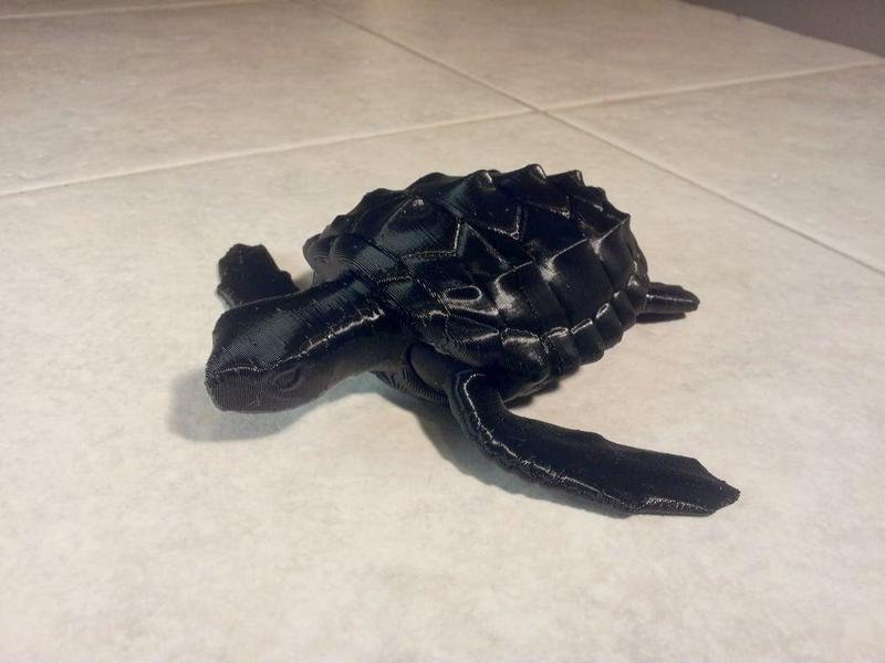 Loggerhead Sea Turtle (poseable)