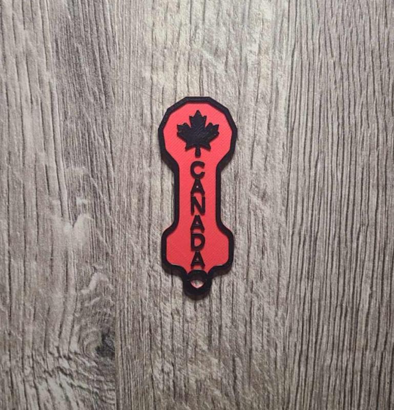 Canada Shopping Cart Key (Loonie Size) Keychain