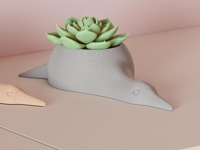 Succulent Plant Pot. Sleepy Duck Design