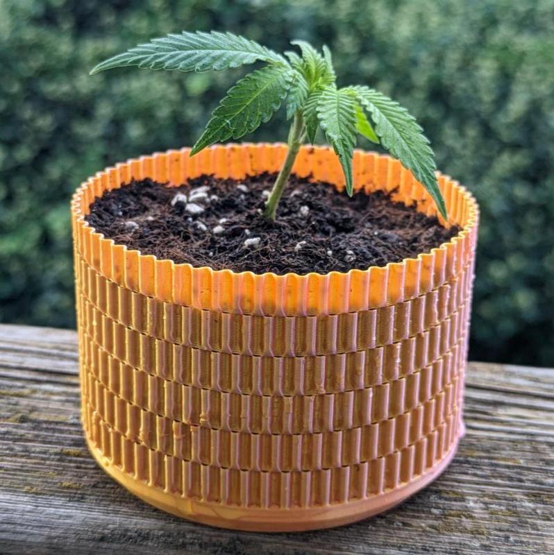 [3 SIZES] AirPott - Air pruning for healthy roots