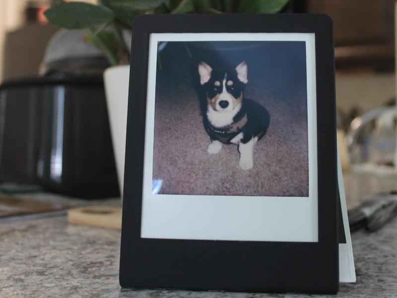 Polaroid Frame