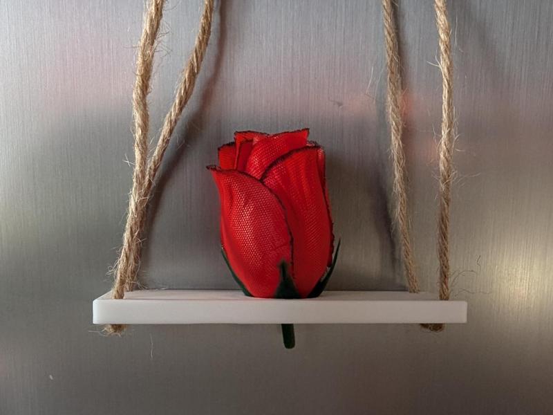 Tillandsia Swing / Tillandsien Schaukel