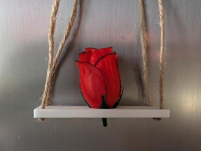 Tillandsia Swing / Tillandsien Schaukel