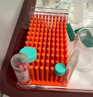 Laboratory test tubes drying rack