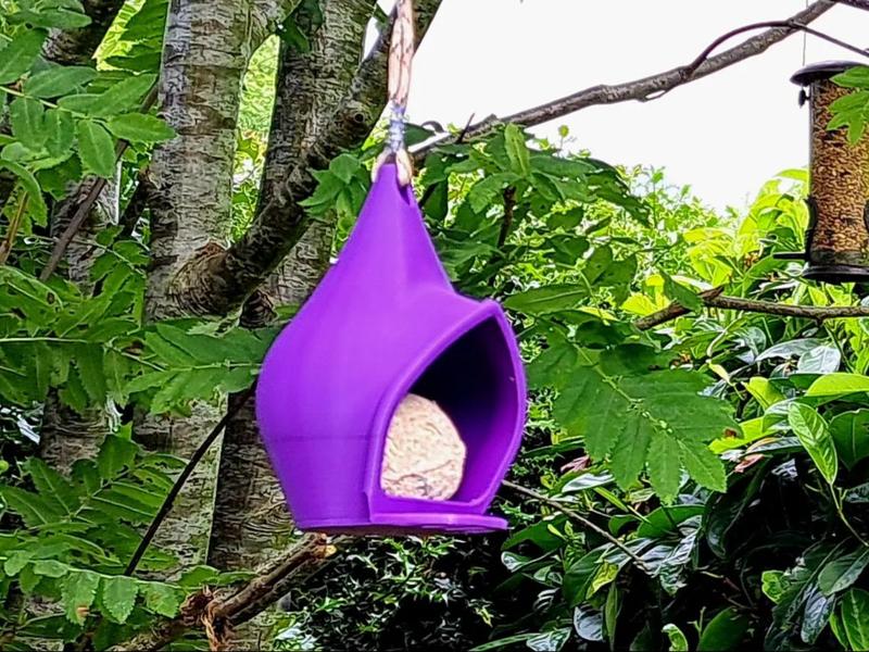 Bird Feeder