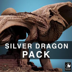 Pack Metallic Silver Dragon - 2024 Redesign