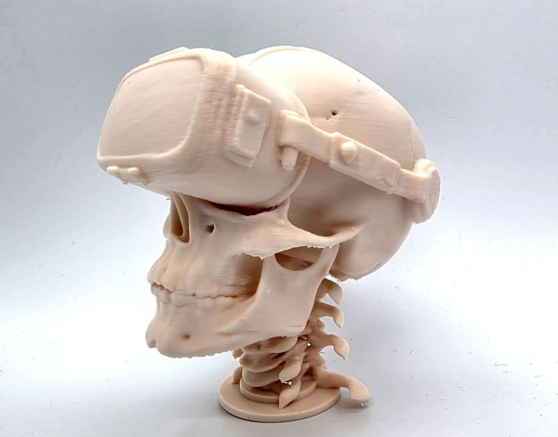VR Skull