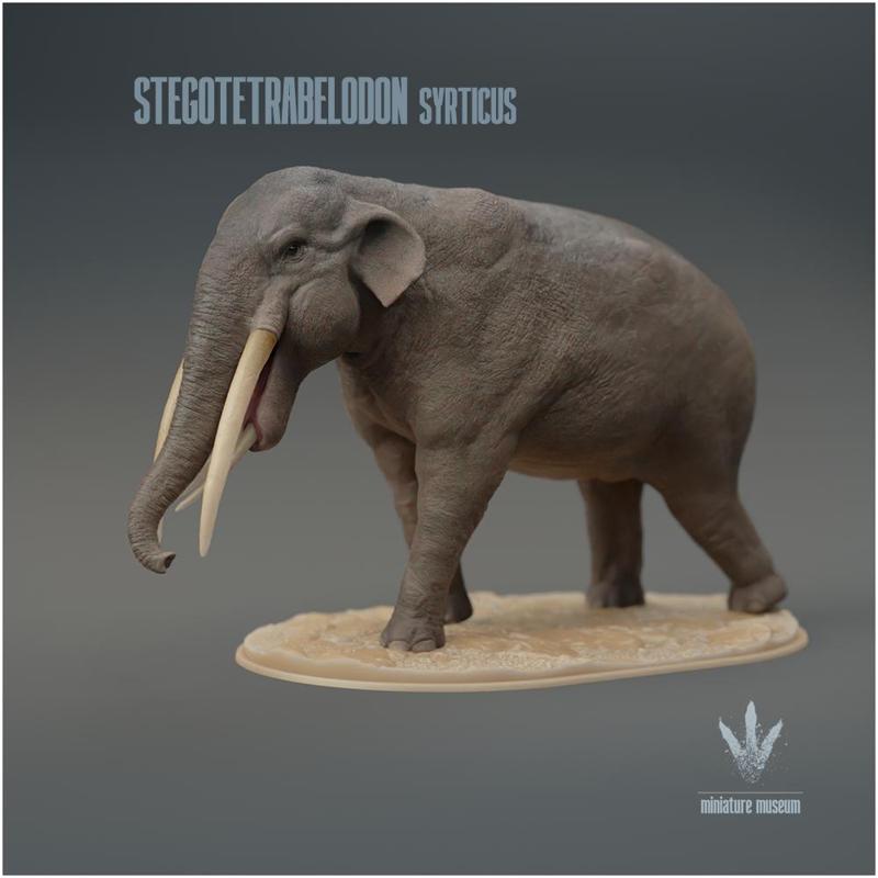 Stegotetrabelodon syrticus : The Four Roofed Tusked-Tooth