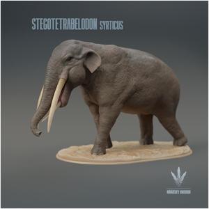 Stegotetrabelodon syrticus : The Four Roofed Tusked-Tooth