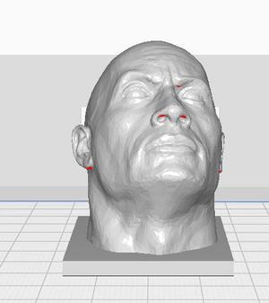 Dwane The Rock Johnson
