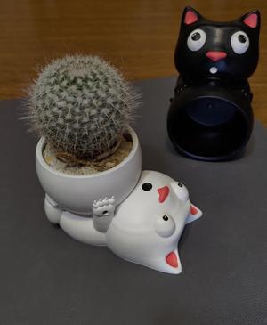 Cat flower planter