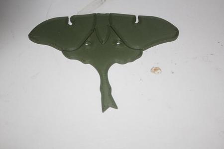 Luna Moth