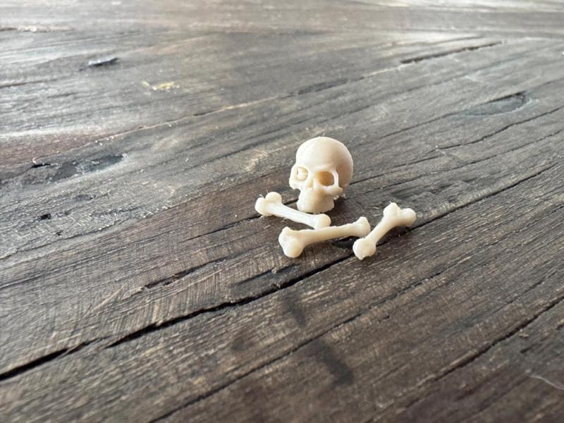 Skull & Bones