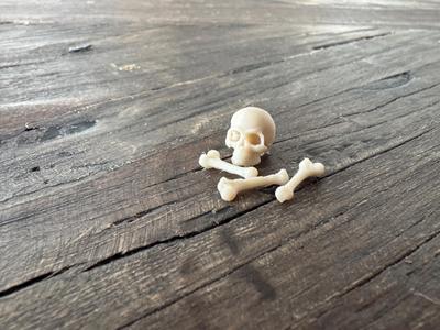 Skull & Bones